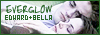 EdwardAndBella.net