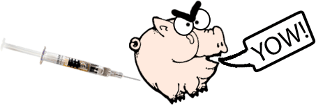 Oink
