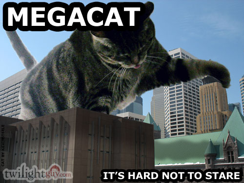 megacat megacat