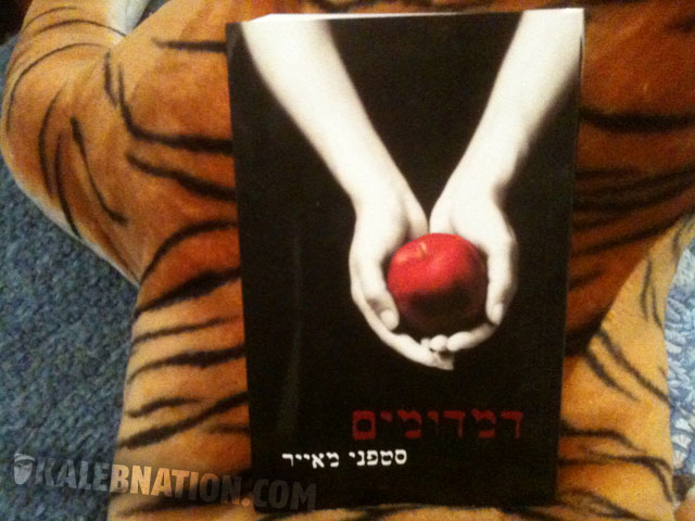 hebrew-twilight-1